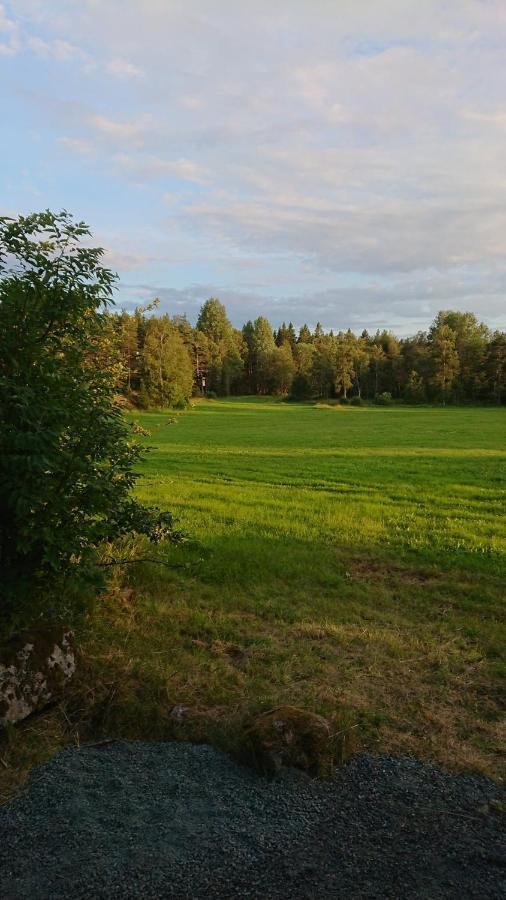 Liten Enklare Klimatsmart Stuga I Roslagen Östhammar Εξωτερικό φωτογραφία